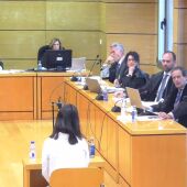 Comparecencia de la hermana de la víctima 
