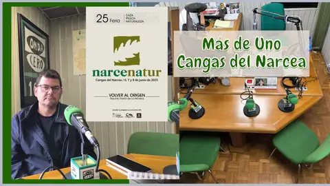 Marcial Fernández, Director de Narcenatur Marcial Fernández, Director de Narcenatur