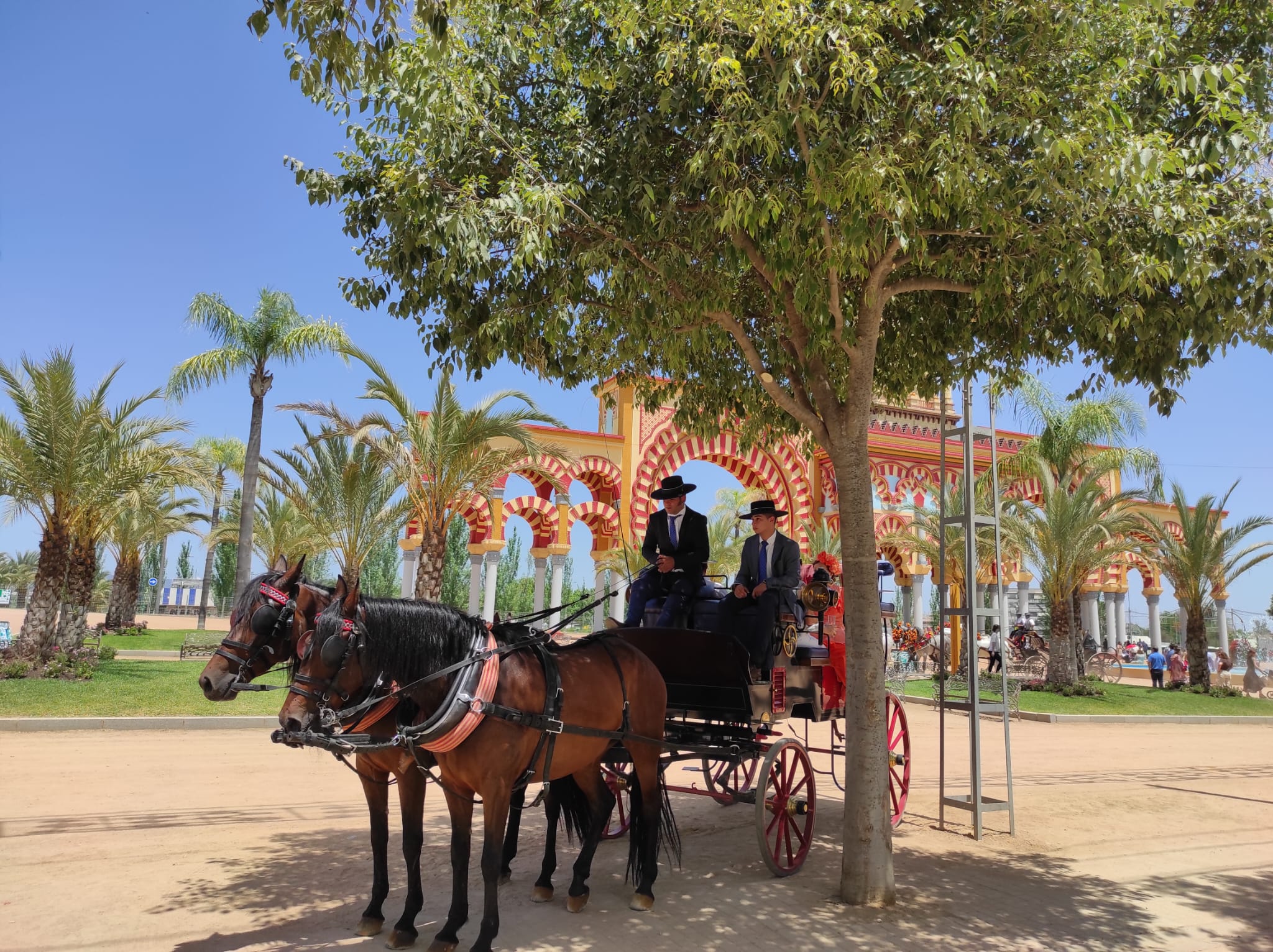 Desde la Victoria hasta el Arenal en el Día del Caballo Desde la Victoria hasta el Arenal en el Día del Caballo