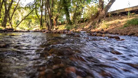 La Confederación Hidrográfica del Guadiana repara las pasarelas del río Gévora a su paso por La Codosera La Confederación Hidrográfica del Guadiana repara las pasarelas del río Gévora a su paso por La Codosera