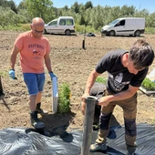 La Cooperativa de Viver ha empezado a cultivas las variedades de tomate. La Cooperativa de Viver ha empezado a cultivas las variedades de tomate.