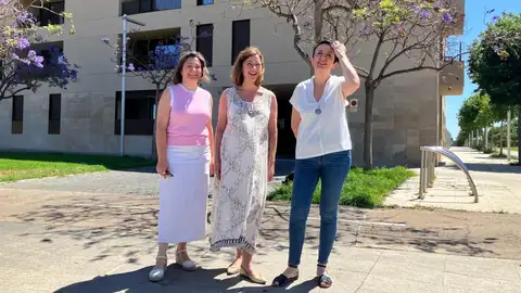 Armengol carga contra las enmiendas del decreto de vivienda: "Están vendiendo Baleares a costa de la ciudadanía". Armengol carga contra las enmiendas del decreto de vivienda: "Están vendiendo Baleares a costa de la ciudadanía".
