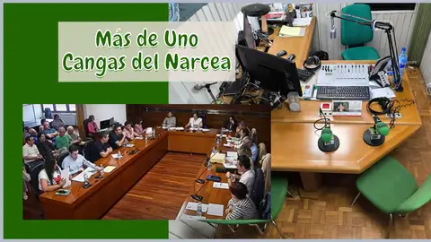 Un momento del pleno celebrado en Tineo Un momento del pleno celebrado en Tineo
