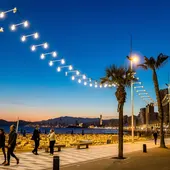 Benidorm paraliza las obras de la catenaria Benidorm paraliza las obras de la catenaria