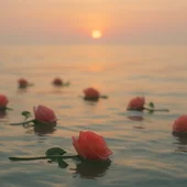 Drama migratorio Drama migratorio