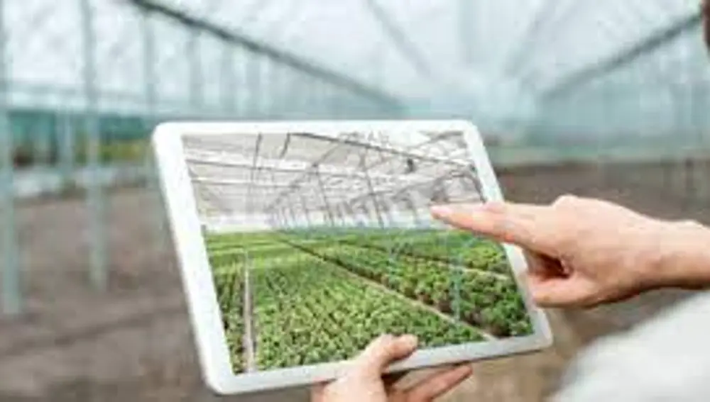 FITOSER ofrece asesoramiento agrícola con una amplia gama de soluciones en fitosanitarios y fertilizantes FITOSER ofrece asesoramiento agrícola con una amplia gama de soluciones en fitosanitarios y fertilizantes