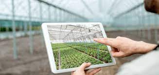 FITOSER ofrece asesoramiento agrícola con una amplia gama de soluciones en fitosanitarios y fertilizantes FITOSER ofrece asesoramiento agrícola con una amplia gama de soluciones en fitosanitarios y fertilizantes