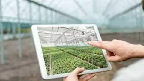 FITOSER ofrece asesoramiento agrícola con una amplia gama de soluciones en fitosanitarios y fertilizantes FITOSER ofrece asesoramiento agrícola con una amplia gama de soluciones en fitosanitarios y fertilizantes