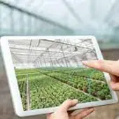 FITOSER ofrece asesoramiento agrícola con una amplia gama de soluciones en fitosanitarios y fertilizantes FITOSER ofrece asesoramiento agrícola con una amplia gama de soluciones en fitosanitarios y fertilizantes