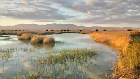 El Hondo Crevillent-Elche. El Hondo Crevillent-Elche.
