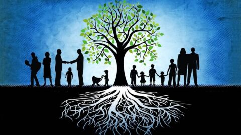 Constelaciones familiares