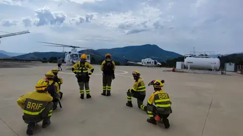 Efectivos Plan Infoex Efectivos Plan Infoex