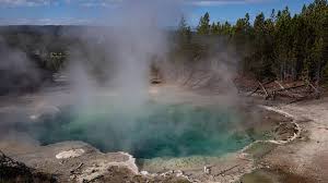 ¿Sabías que los árboles pueden predecir las erupciones de los volcanes? ¿Sabías que los árboles pueden predecir las erupciones de los volcanes?