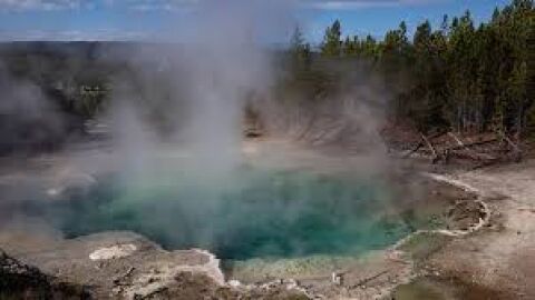 &aacute;rboles que detectan erupciones volc&aacute;nicas