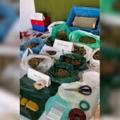Droga incautada por la Guardia Civil