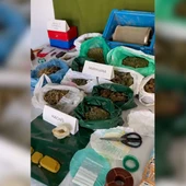 Droga incautada por la Guardia Civil Droga incautada por la Guardia Civil