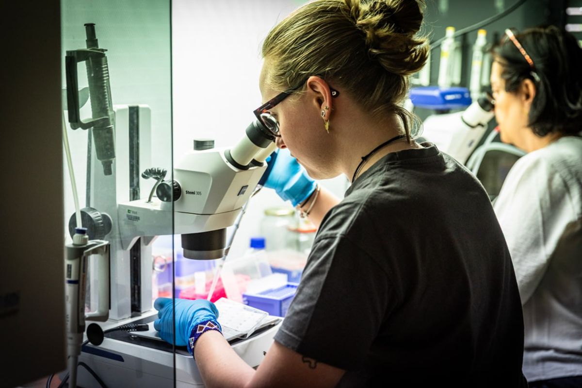 Mayo deja 770 parados menos en Ciudad Real Mayo deja 770 parados menos en Ciudad Real