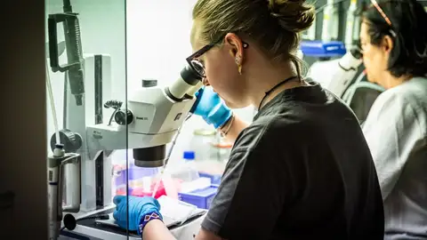 Bajó el paro en Ciudad Real en el mes de mayo Bajó el paro en Ciudad Real en el mes de mayo