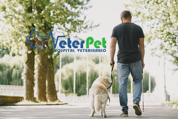 Perros de asistencia: Un camino en expansión y con desigualdades regionales. Lo comentamos con el adiestrador Ángel Osuna Perros de asistencia: Un camino en expansión y con desigualdades regionales. Lo comentamos con el adiestrador Ángel Osuna