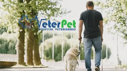VETERPET Perros guía VETERPET Perros guía