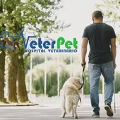 VETERPET Perros guía VETERPET Perros guía