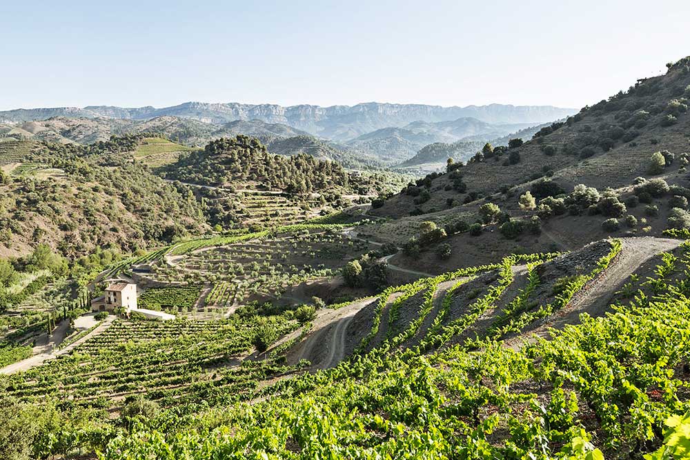 A la recerca del turista foodie A la recerca del turista foodie