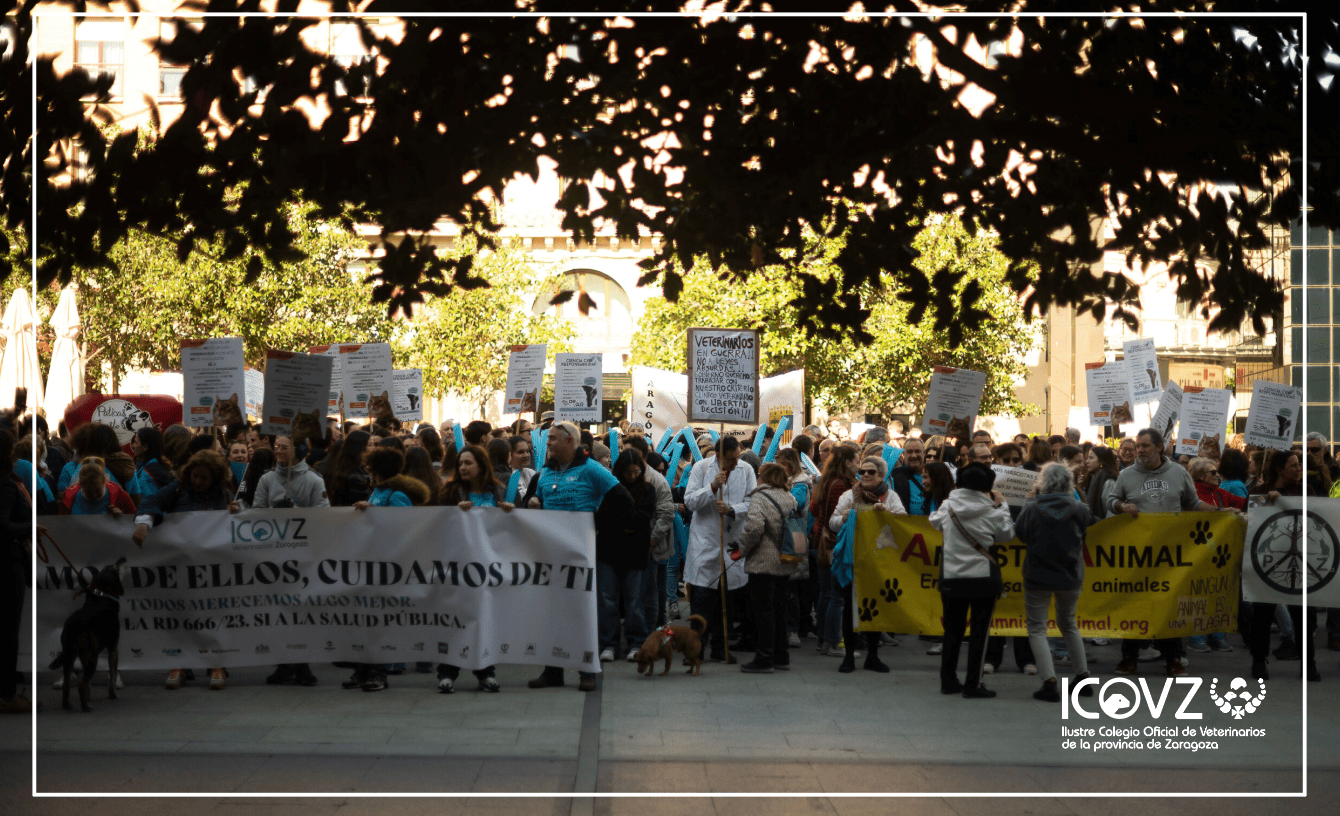 Los veterinarios se manifestarán en Zaragoza el próximo 7 de junio Los veterinarios se manifestarán en Zaragoza el próximo 7 de junio