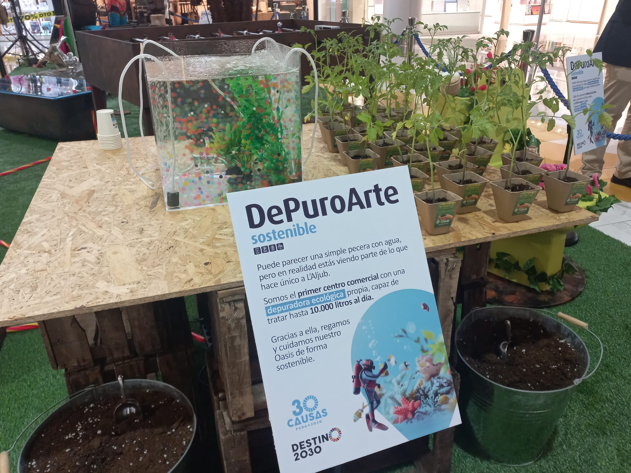 El centro comercial L’Aljub de Elche se dota de una depuradora propia con capacidad para tratar 10.000 litros de agua al día El centro comercial L’Aljub de Elche se dota de una depuradora propia con capacidad para tratar 10.000 litros de agua al día