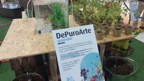 El centro comercial L’Aljub de Elche se dota de una depuradora propia con capacidad para tratar 10.000 litros de agua al día. El centro comercial L’Aljub de Elche se dota de una depuradora propia con capacidad para tratar 10.000 litros de agua al día.