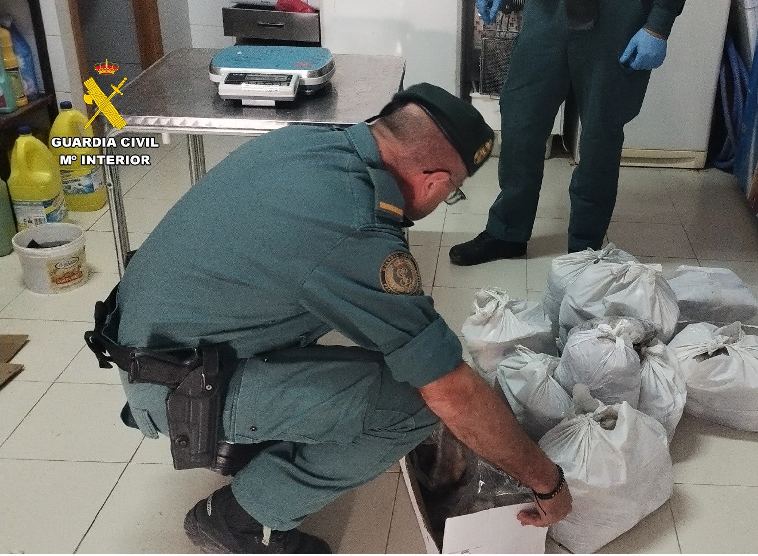 La Guardia Civil interviene en Santa Pola 250 kilos de pescado comercializado sin cumplir los requisitos exigidos La Guardia Civil interviene en Santa Pola 250 kilos de pescado comercializado sin cumplir los requisitos exigidos