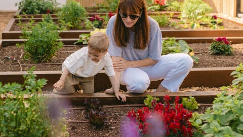 Huerto ecológico en Garden Hotels Huerto ecológico en Garden Hotels