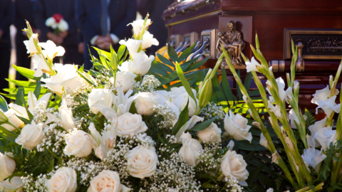 El auge de los funerales ecológicos marca una nueva forma de despedirse sin dejar huella El auge de los funerales ecológicos marca una nueva forma de despedirse sin dejar huella
