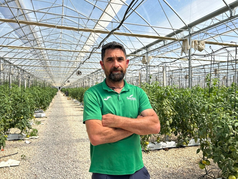 Los hermanos Monrabal impulsan la producción de tomate hidropónico en invernaderos de Montserrat Los hermanos Monrabal impulsan la producción de tomate hidropónico en invernaderos de Montserrat