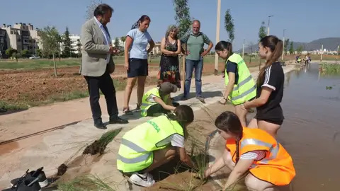 El Ayuntamiento habilita un humedal urbano en el Parque del Canal con más de 2.000 ejemplares de flora acuática autóctona El Ayuntamiento habilita un humedal urbano en el Parque del Canal con más de 2.000 ejemplares de flora acuática autóctona