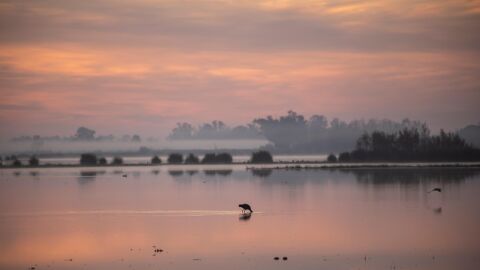 Marismas de Doñana Marismas de Doñana