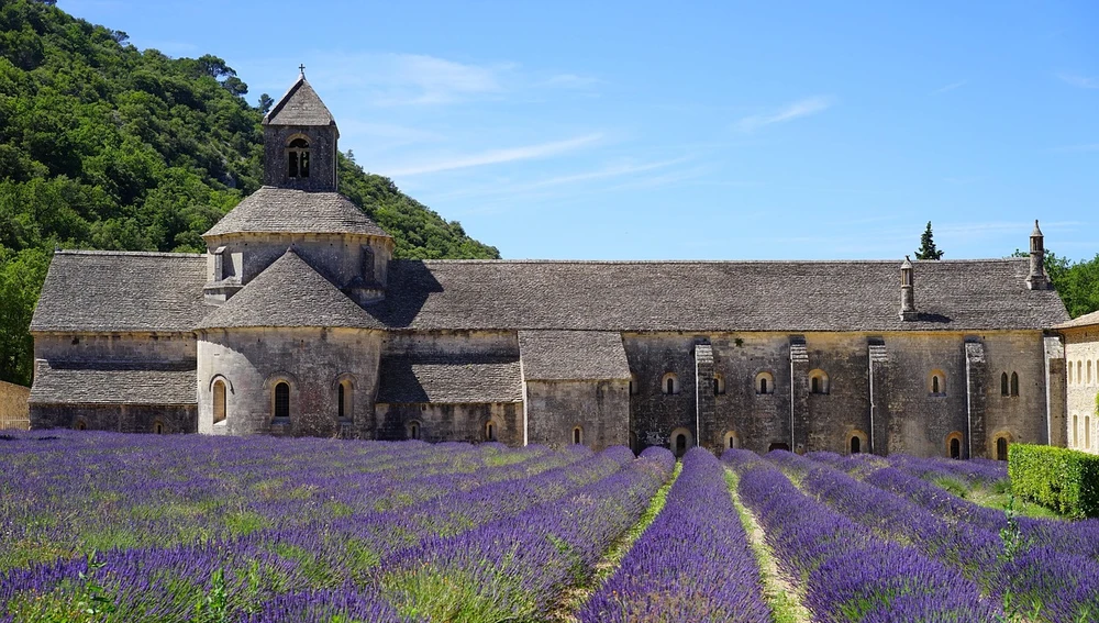Campos de lavanda rodean la abadía de Nuestra Señora de Sénanque Campos de lavanda rodean la abadía de Nuestra Señora de Sénanque