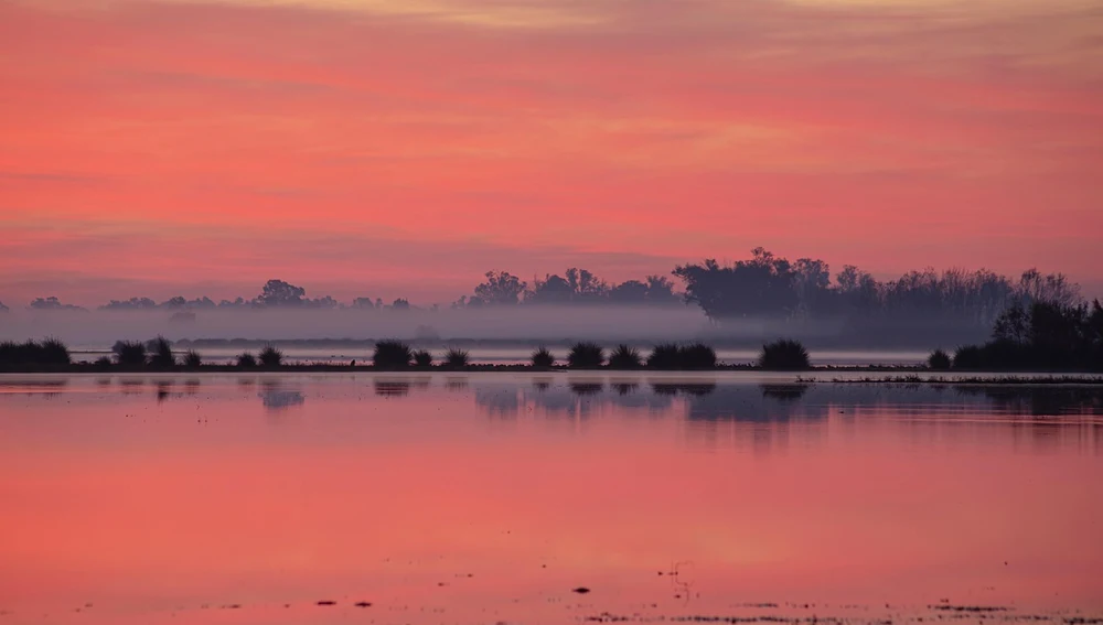 Marismas de Doñana al atardecer Marismas de Doñana al atardecer