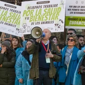 Los veterinarios canarios salen a la calle contra una ley que les impide hacer bien su trabajo Los veterinarios canarios salen a la calle contra una ley que les impide hacer bien su trabajo