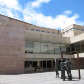 Acceso principal al Ayuntamiento de Elche.