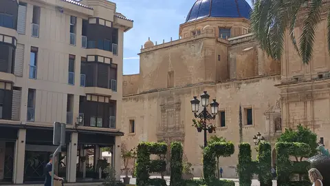 Elche. Elche.