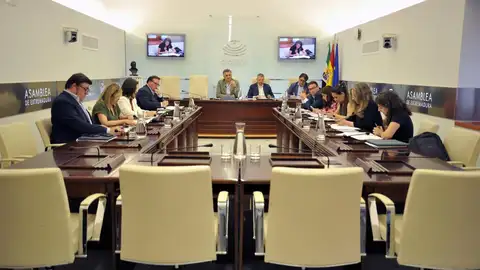 La comisión sobre financiación autonómica en la Asamblea acaba sin acuerdo y con reproches sobre la ruptura del consenso La comisión sobre financiación autonómica en la Asamblea acaba sin acuerdo y con reproches sobre la ruptura del consenso