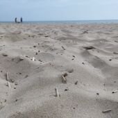 Playa del Perellonet 