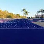 Pista
