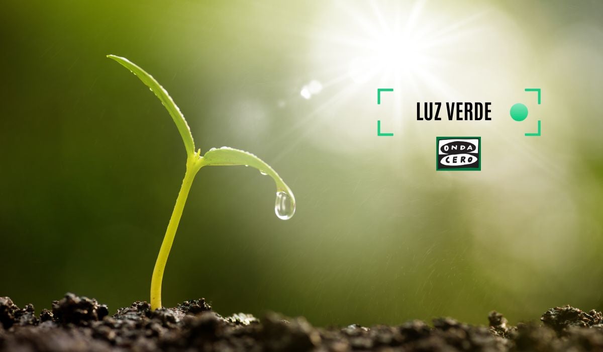 Luz verde Euskadi Luz verde Euskadi