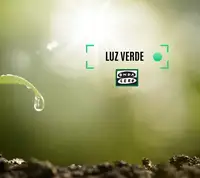 Luz verde Euskadi Luz verde Euskadi