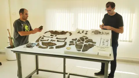 Hallado en Teruel el esqueleto de tortuga más completo de Europa FOSILES DINOPOLIS