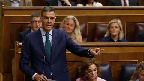 El presidente del Gobierno, Pedro Sánchez, durante su intervención en la sesión de control en el Congreso. El presidente del Gobierno, Pedro Sánchez, durante su intervención en la sesión de control en el Congreso.