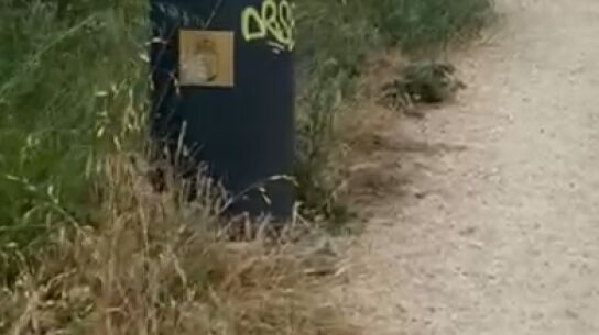 V&iacute;a Verde Vigo abandonada