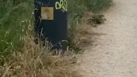 Vía Verde Vigo abandonada Vía Verde Vigo abandonada