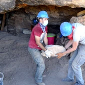 Trabajos de extracción de materiales en el yacimiento arqueológico de la Cueva de los Toriles (Carrizosa) Trabajos de extracción de materiales en el yacimiento arqueológico de la Cueva de los Toriles (Carrizosa)